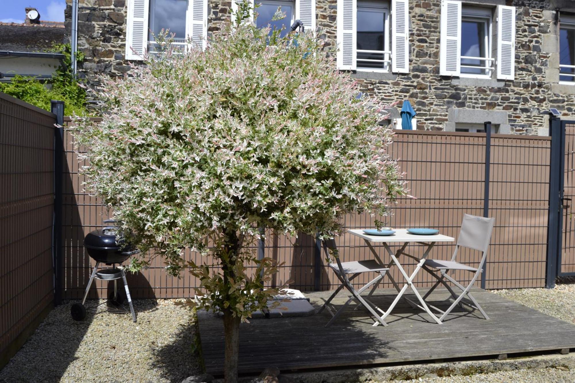 Charmante Petite Maison Proche Du Port, Maison 7 Binic Bagian luar foto